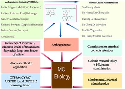 Review on melanosis coli and anthraquinone-containing traditional Chinese herbs that cause melanosis coli